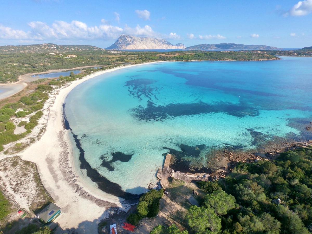 Iss Travel, Gli Asfodeli - Large Apartments With Private Terrace San Teodoro (Sardinia) Exterior foto