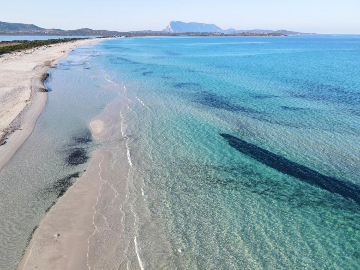 Iss Travel, Gli Asfodeli - Large Apartments With Private Terrace San Teodoro (Sardinia) Exterior foto